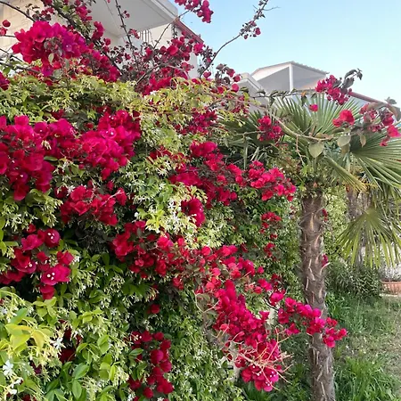 Gardenview Retreat *